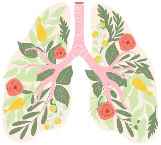 Support your lung health